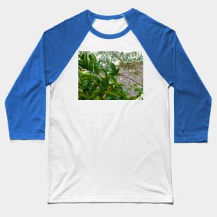 After the rain Baseball T-Shirt